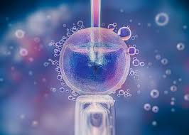 ivf malaysia