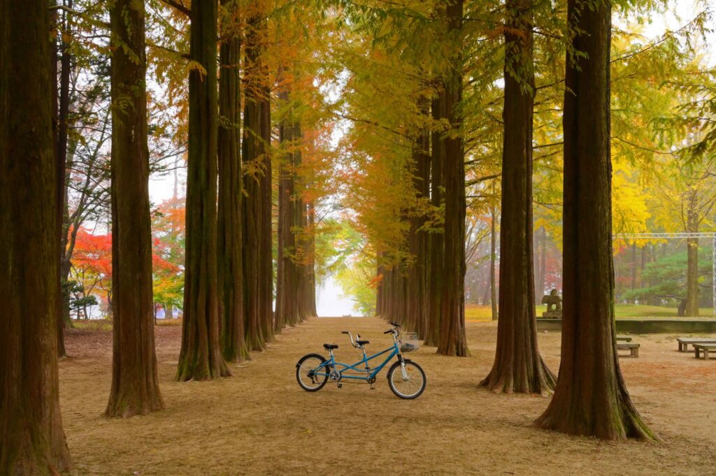 nami island korea